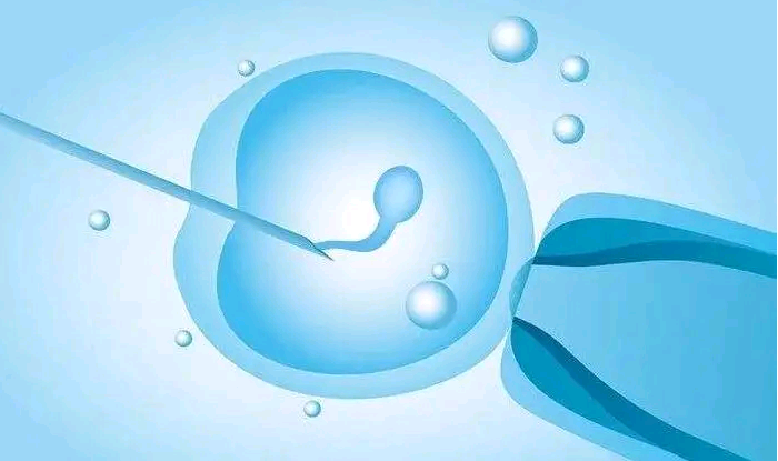 宫颈短容易怀孕吗_染色体异常胎停吗,卵巢早衰在自贡哪家医院做试管婴儿比较