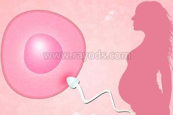 生了孩子子宫切除_子宫切除却怀孕了,试管婴儿要经历排卵，但是促排卵会导致